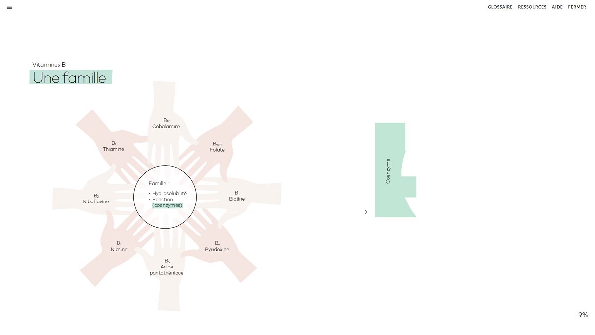 Vitamines B Une familie