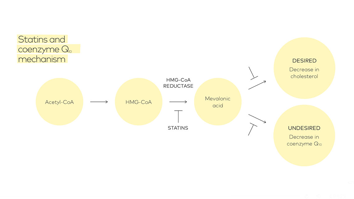 Statins and coenzyme Q10 mechanism