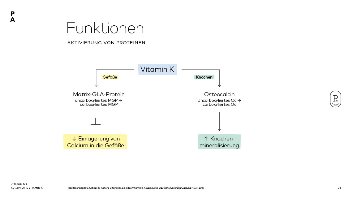 PRO Academy Kurs Vitamin D und K