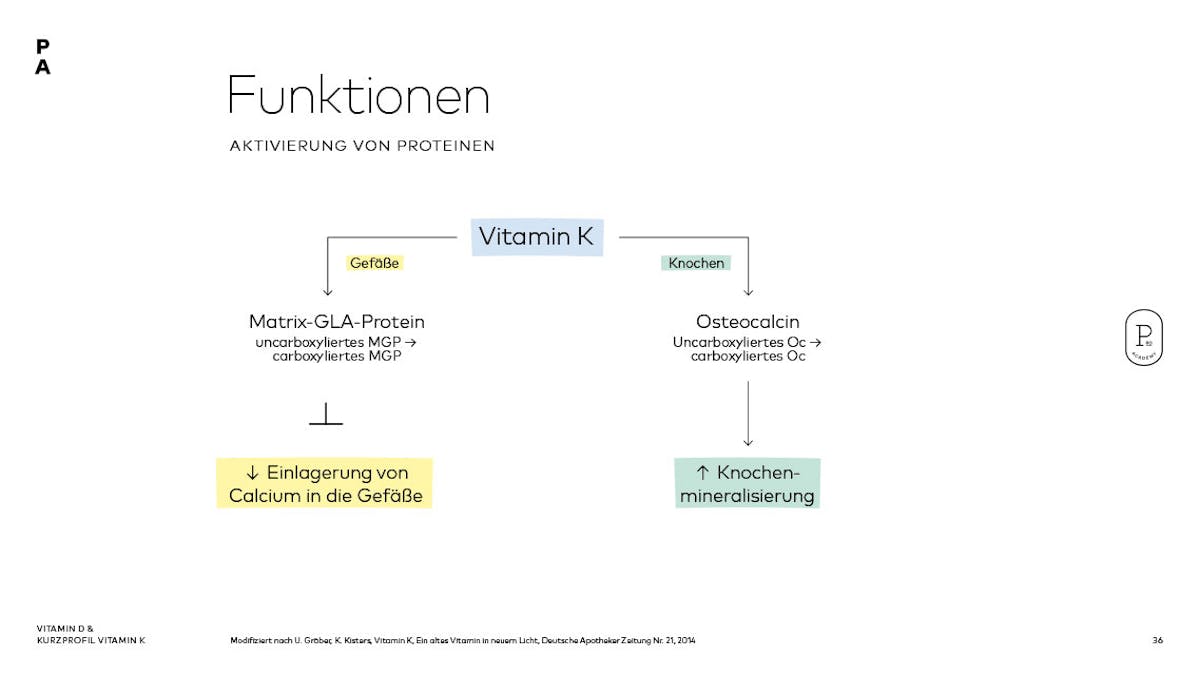 Vitamin K – Einfluss auf Gefäße und Knochen 