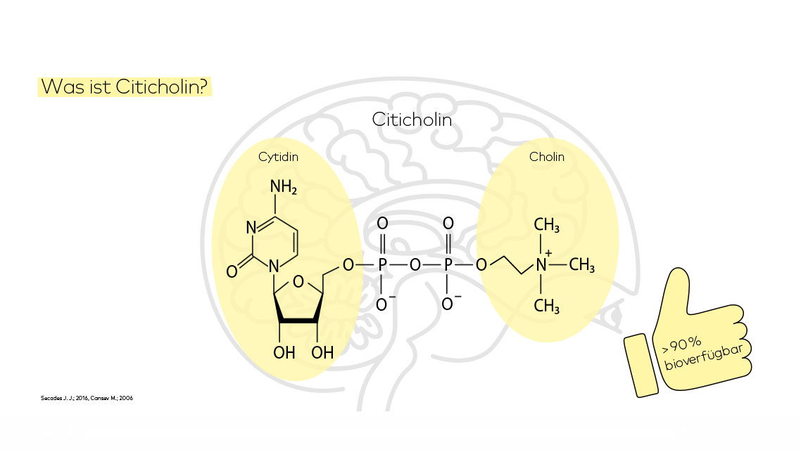 Was ist Citicholin