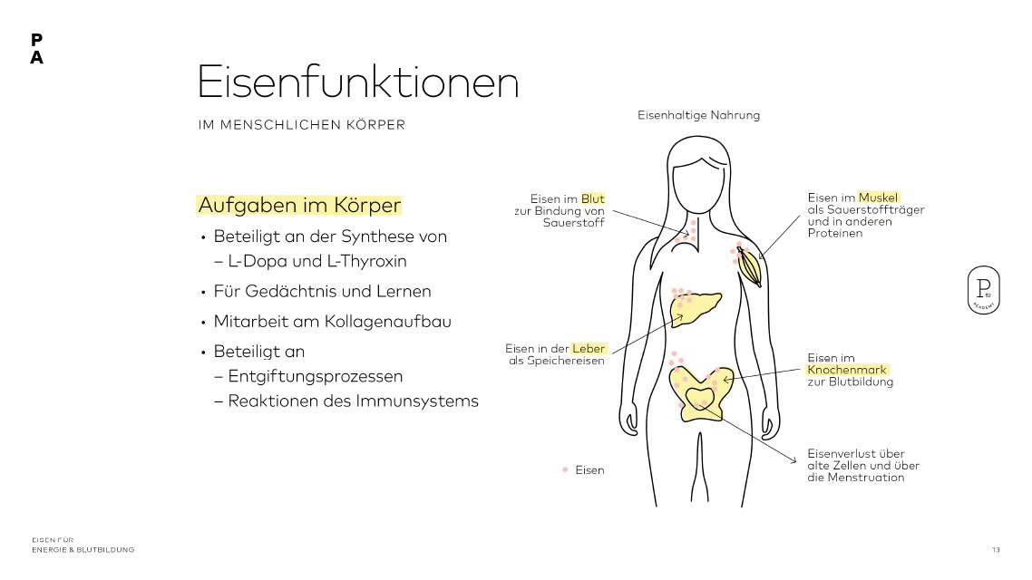 Eisenfunktionen im Körper