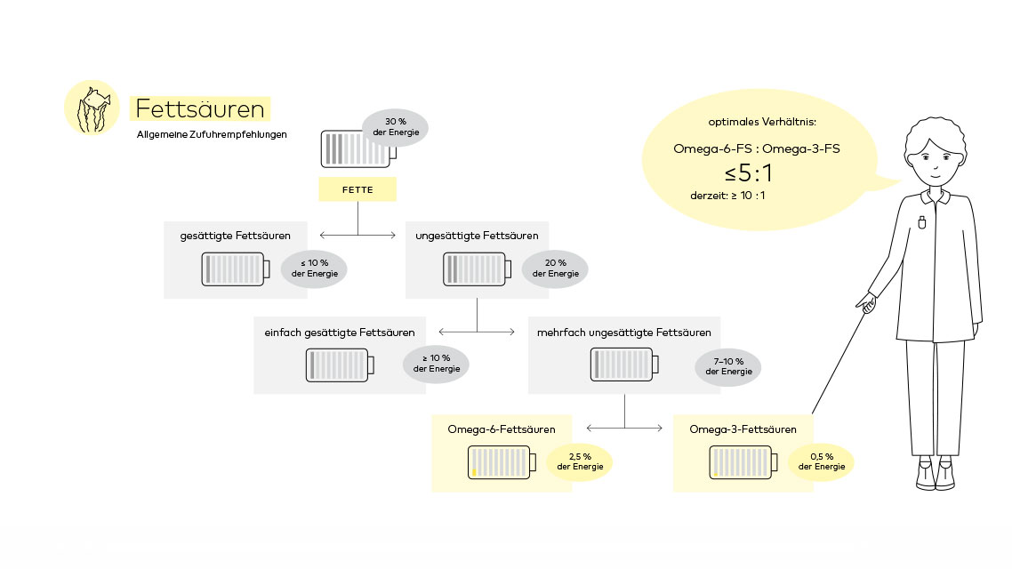 Auflistung der Fettsäuren