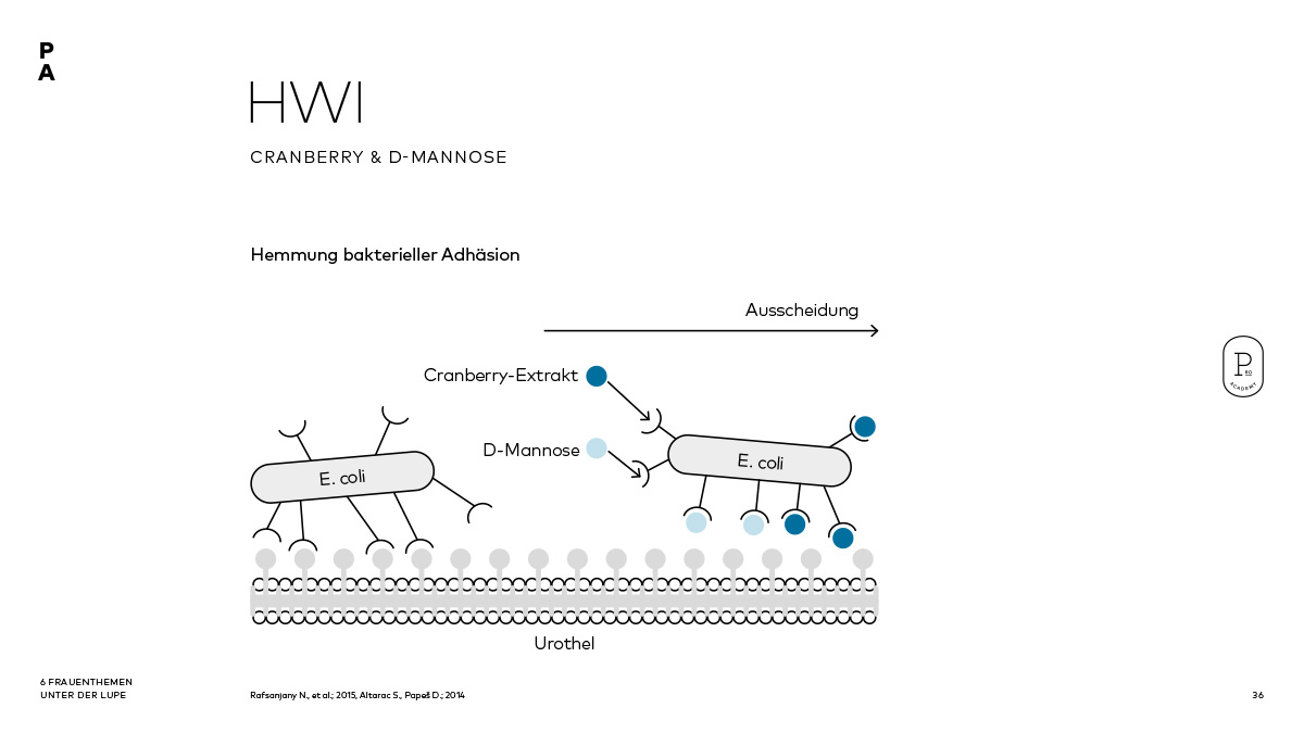 Wirkmechanismen von Cranberry und D-Mannose