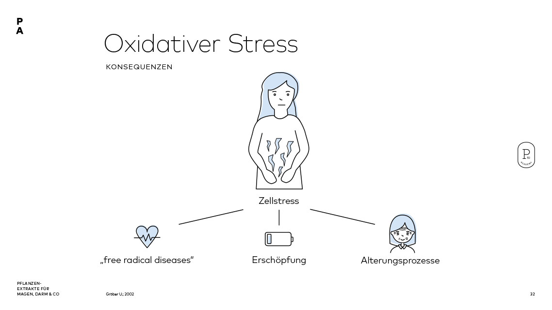Folgen und Konsequenzen von oxidativem Stress