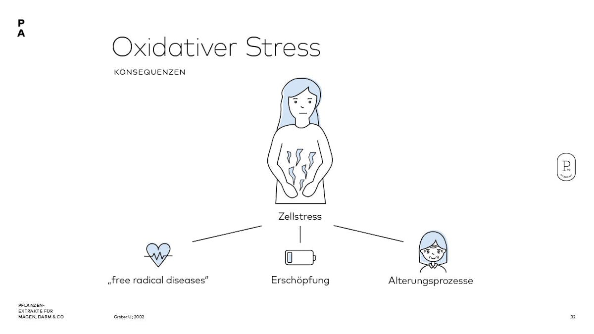 Folgen und Konsequenzen von oxidativem Stress