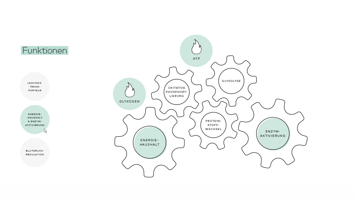 Funktionen der Mineralstoffe