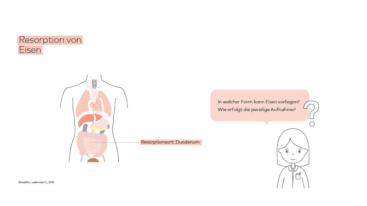 Resorption von Eisen