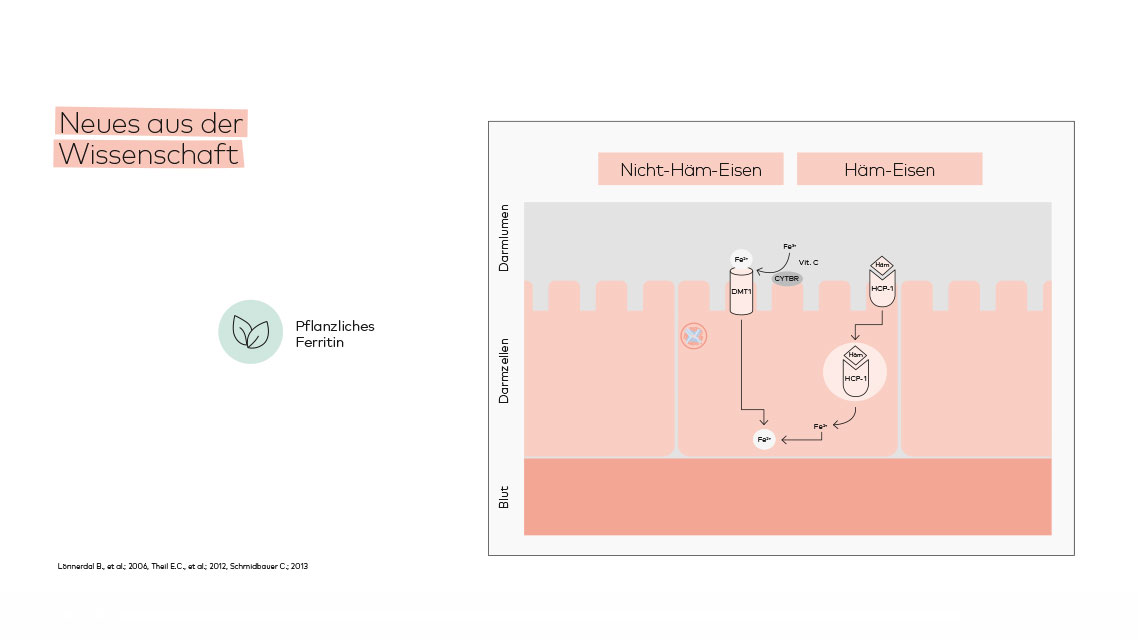 Neues aus der Wissenschaft