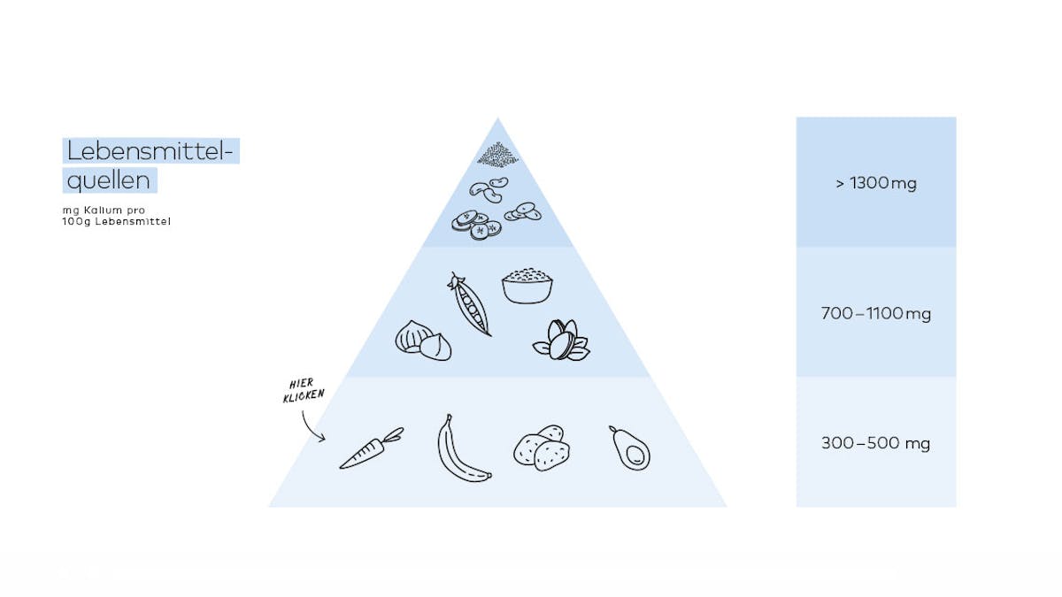Darstellung der Lebensmittelpyramide
