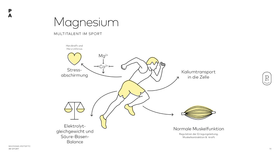Funktionen von Magnesium im Sport