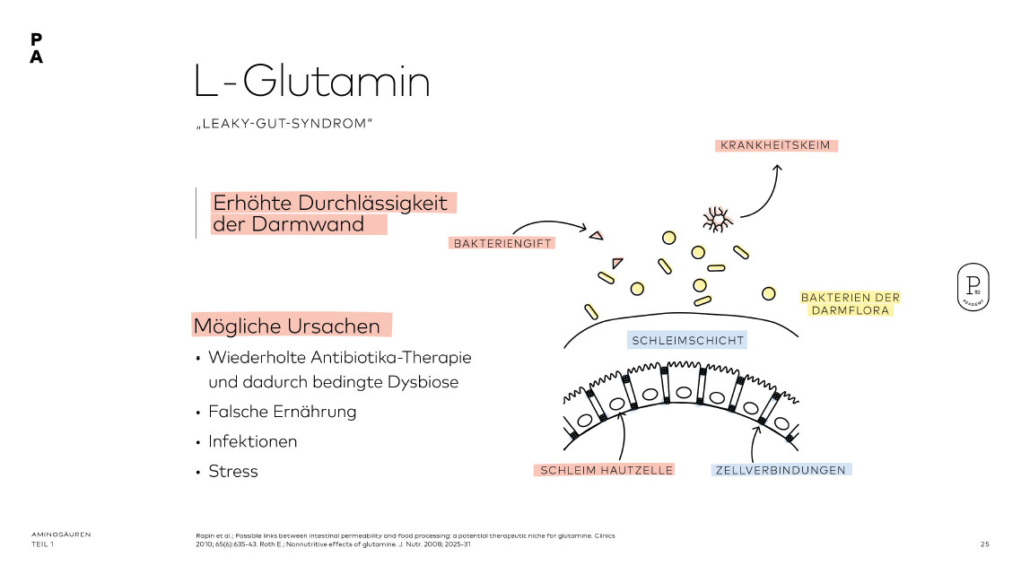 ausgewählte Funktionen der semi-essenziellen Aminosäure L-Glutamin