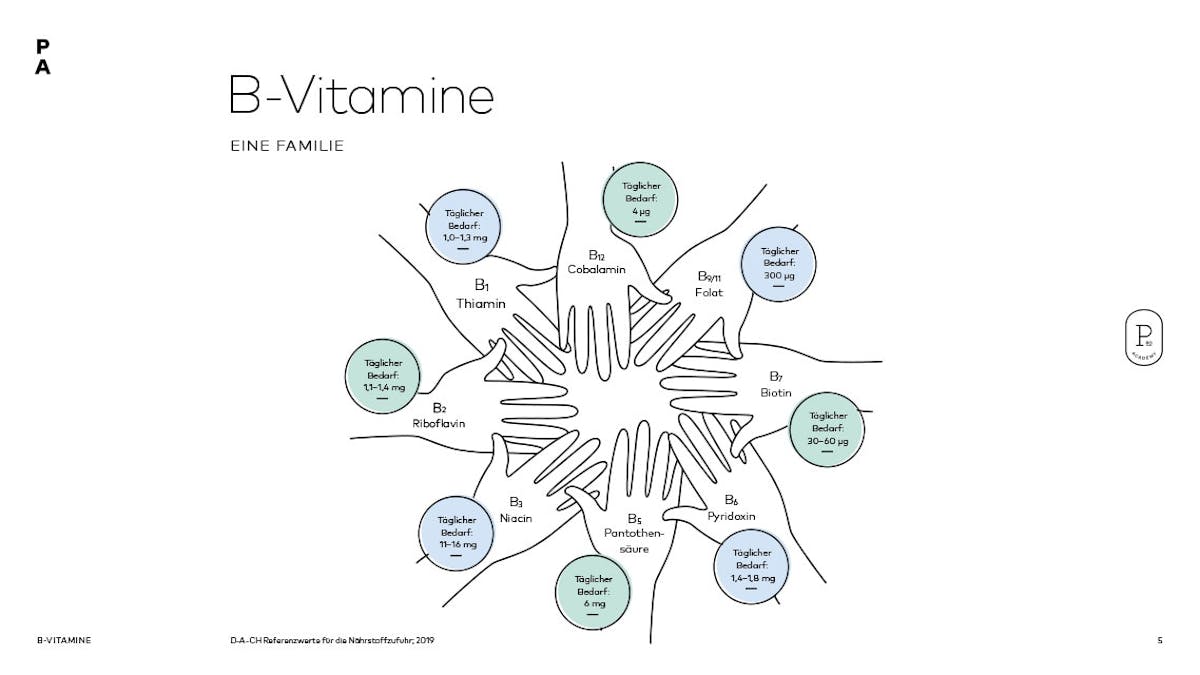 Die B-Vitamin-Familie: Mitglieder & Bedarf