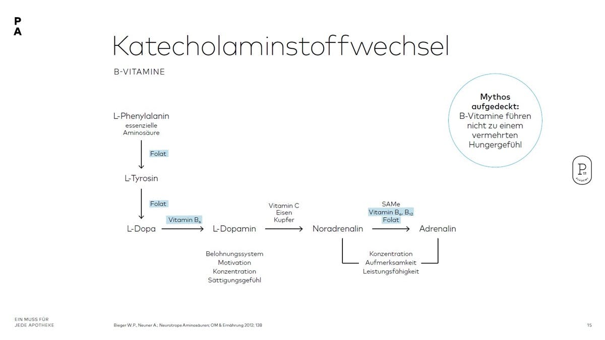 Katecholaminstoffwechsel der B-Vitamine