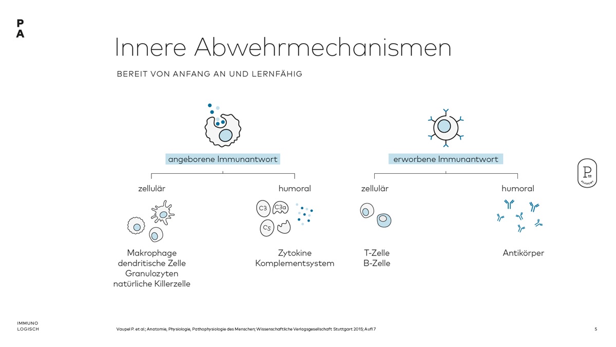Darstellung: Innere Abwehrmechanismen