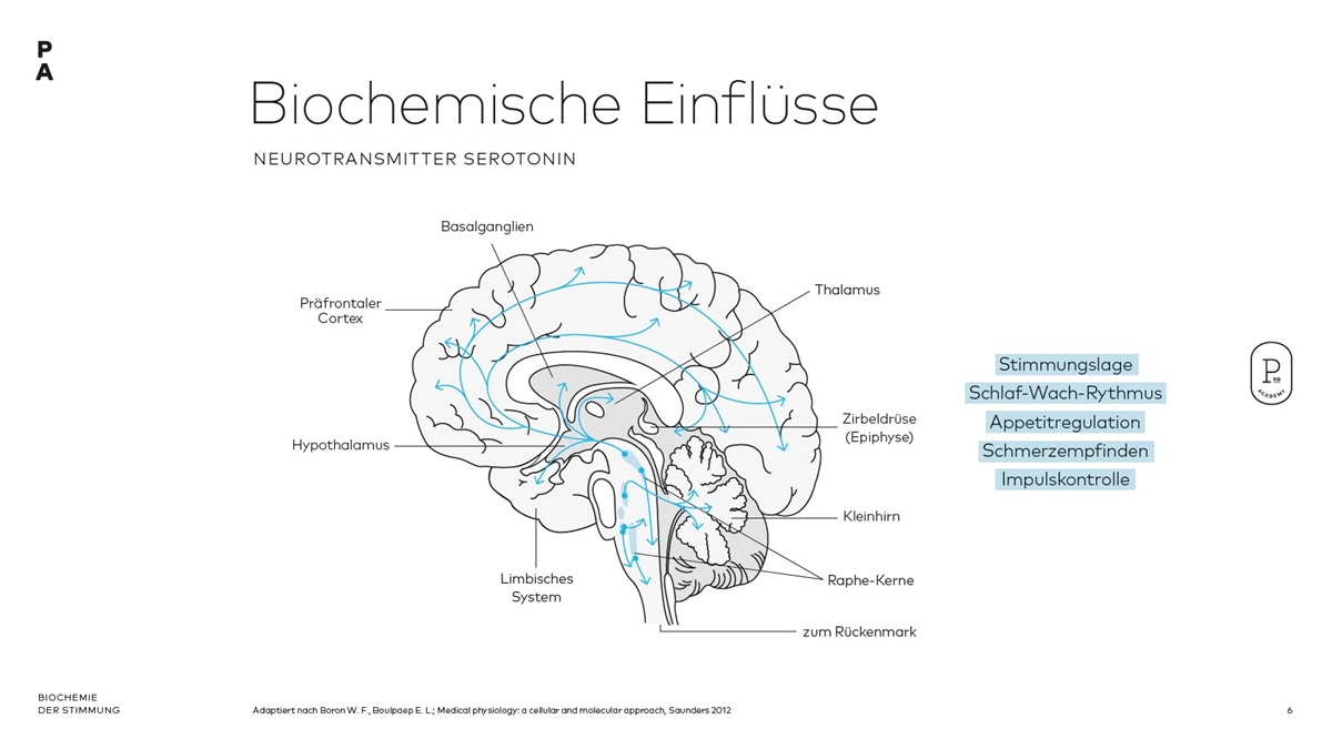 Biochemische Einflüsse