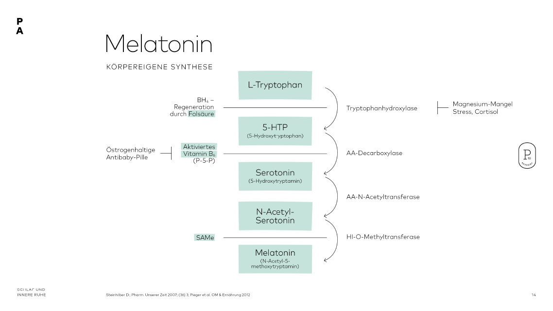 Die körpereigene Produktion des Schlafhormons Melatonin