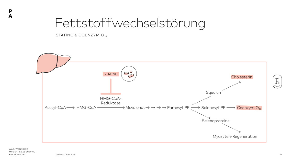Darstellung Fettstoffwechselstörung