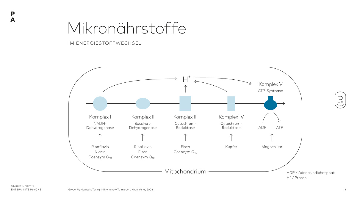 Auflistung der Mikronährstoffe