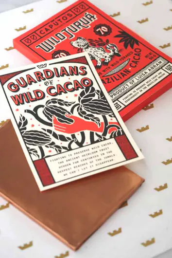 Wild Cacao Could Die Out. We Can't Let It. | HCP