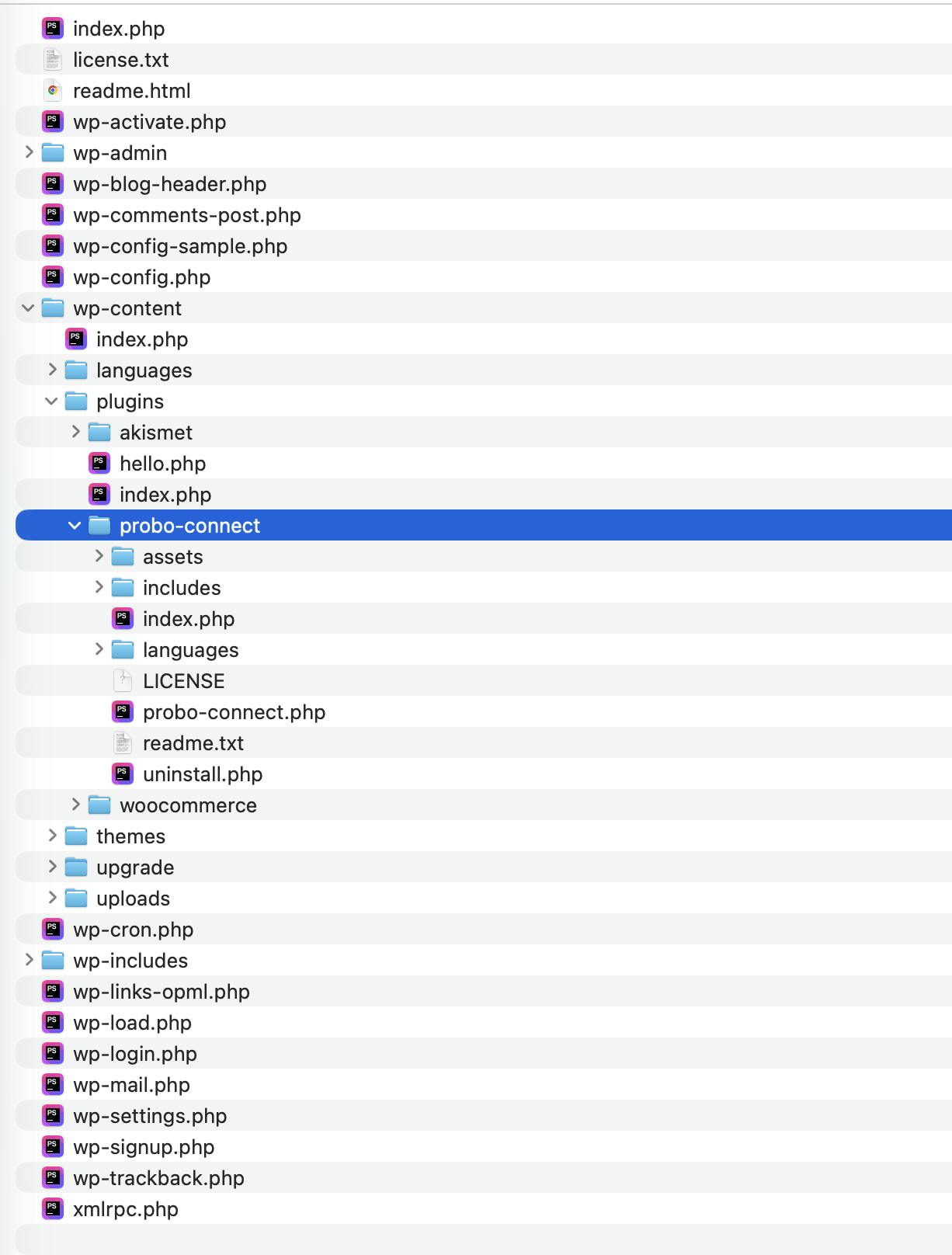Directory structure