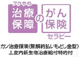 アクサの治療保障のがん保険「セラピー」がん治療保険(無解約払戻し金型(上皮内新生物治療給付特約付)