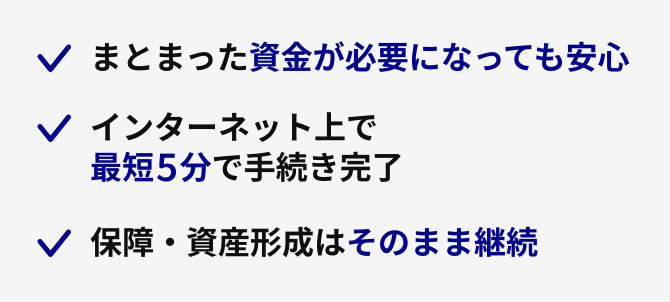 まとまった資金が必要になっても安心
インターネット上で最短5分で手続き完了
保障・資産形成はそのまま継続