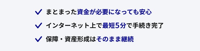 まとまった資金が必要になっても安心
インターネット上で最短5分で手続き完了
保障・資産形成はそのまま継続