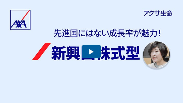 新興国株式型