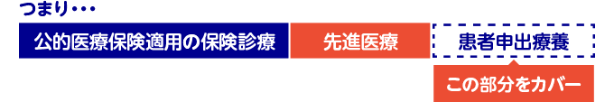 つまり・・・公的医療保険適用の保険診療。先進医療。患者申出療養（この部分をカバー）