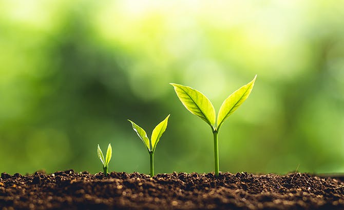 変額保険とは？その特徴やメリットを解説