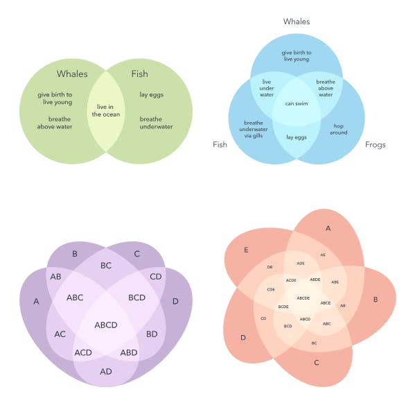 assessment task examples for elementary