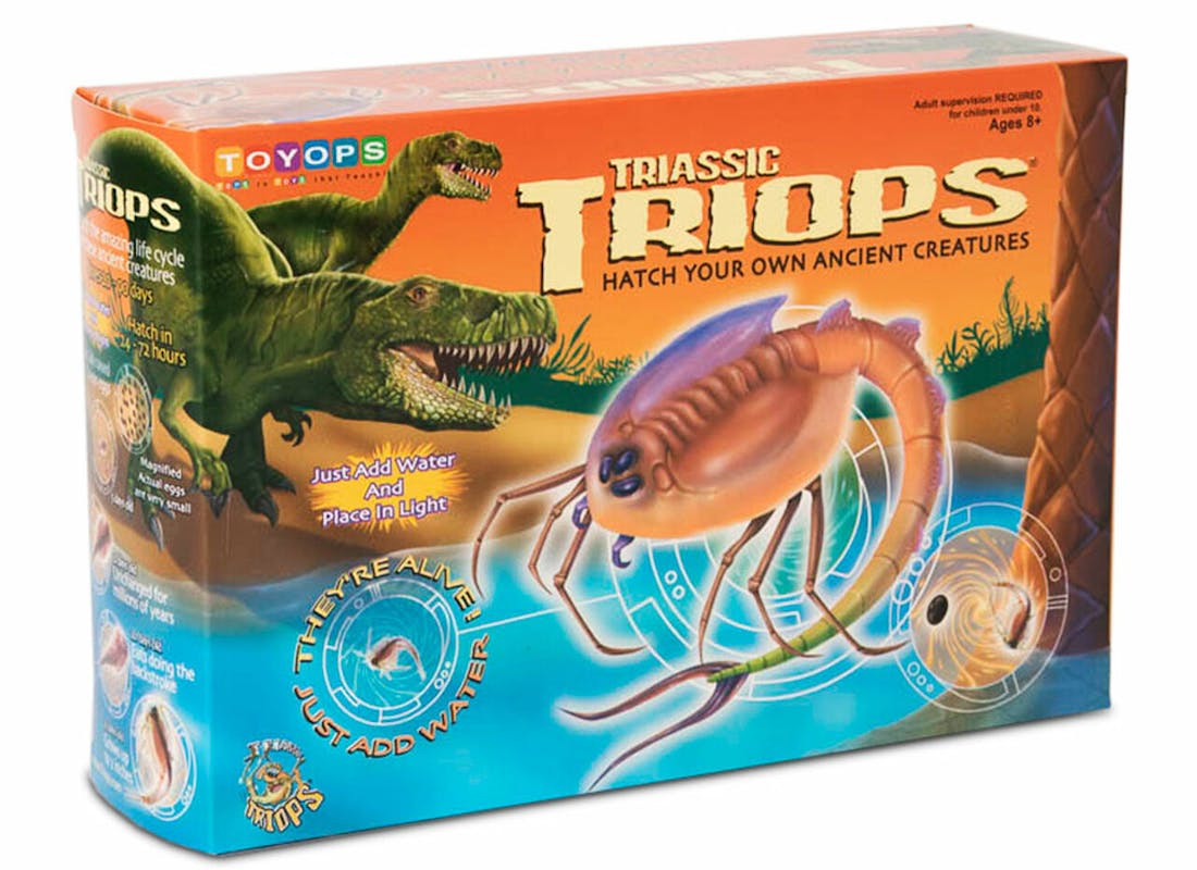 Triassic Triops Hatchery Kit for kids.