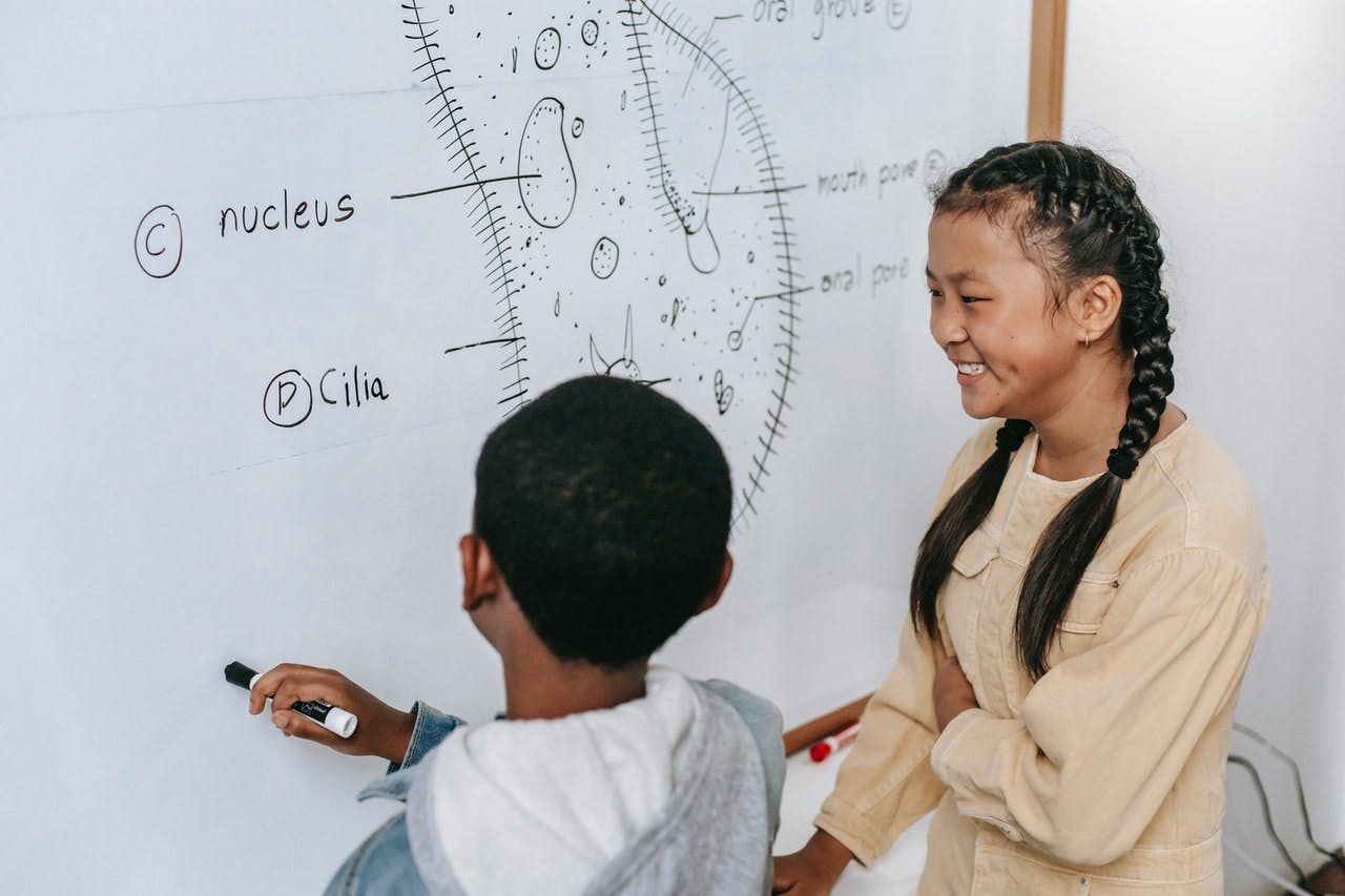 Two students label a diagram of a cell on a whiteboard as part of a cooperative learning exercise.