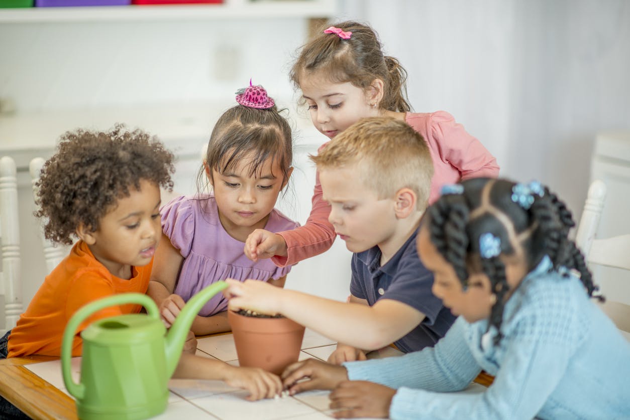 A group of five elementary students planting seeds in a clay flower pot.