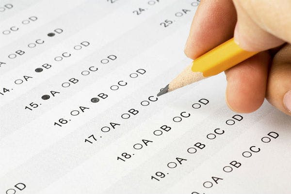 summative assessment activity null