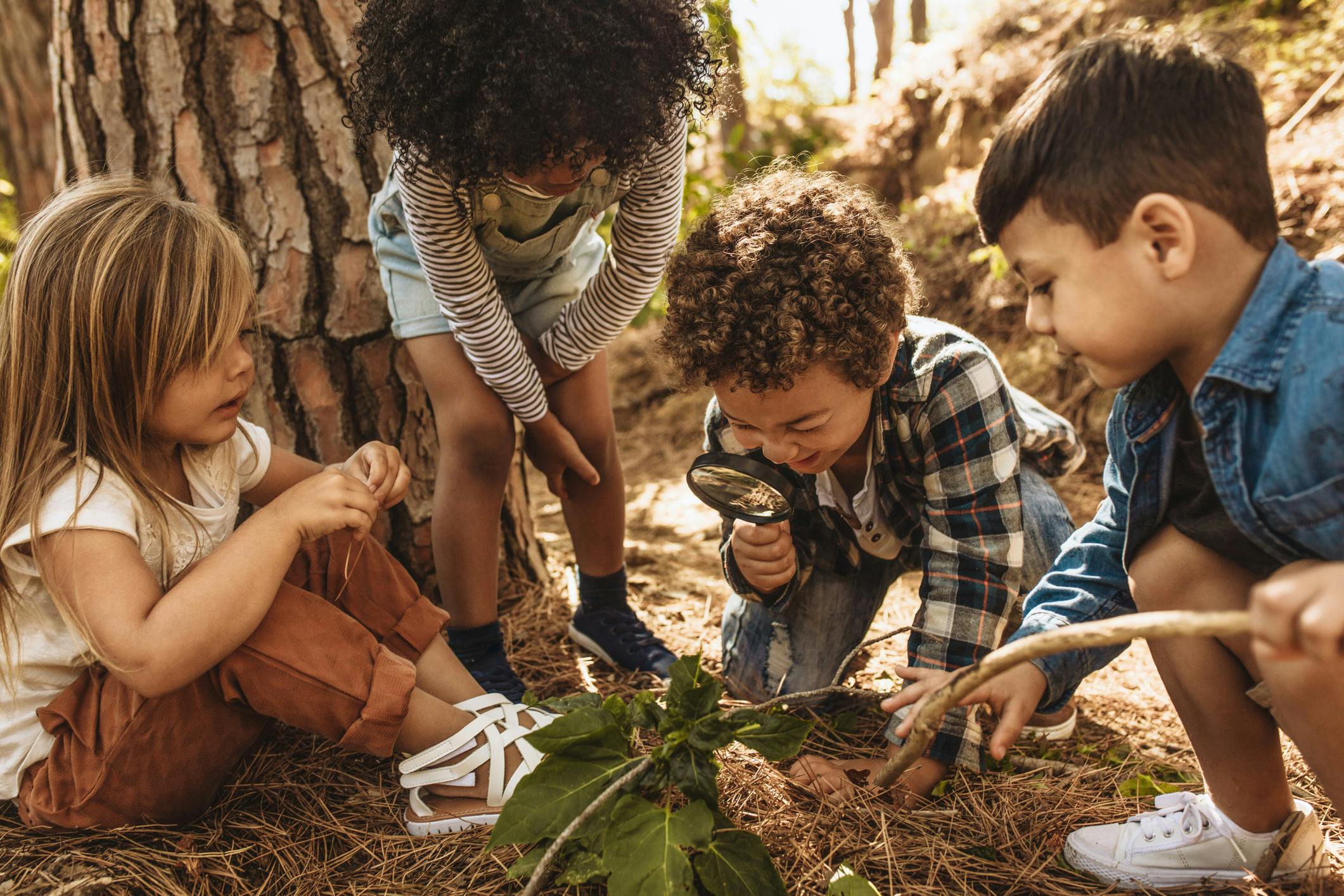 Group of children exploring outside. 