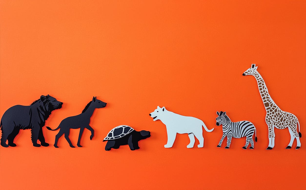 A diverse group of animals is showcased on a bold orange background