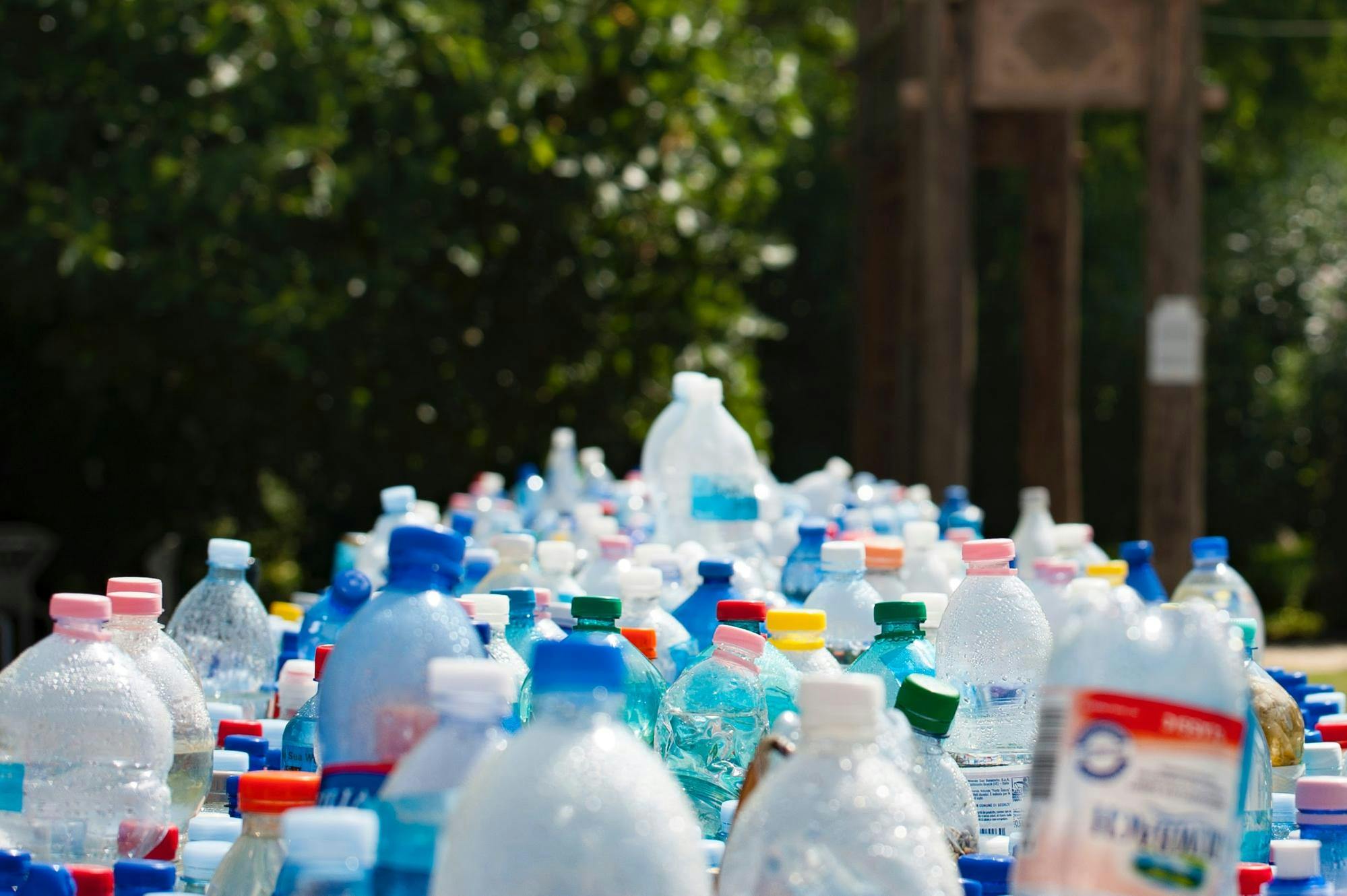 Plastic bottles are lined up and ready to go in the recycling bin.