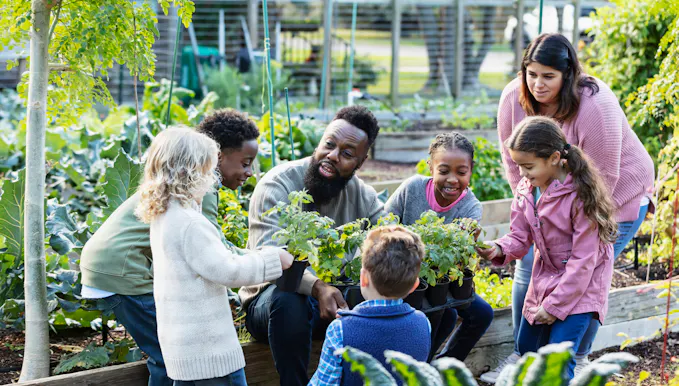 Community Building Lessons 7. Rose, Thorn, Bud