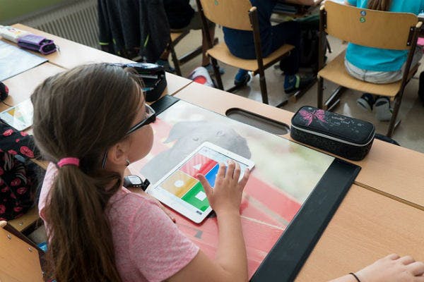 summative assessment activity null