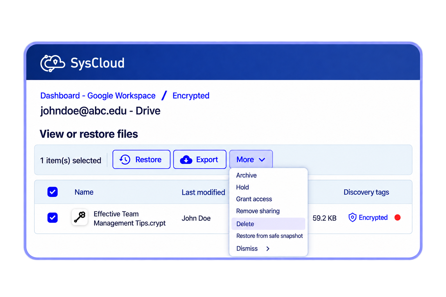 Google Workspace encrypted-file view with one selected file and the full More menu, including Delete and Restore from safe snapshot.