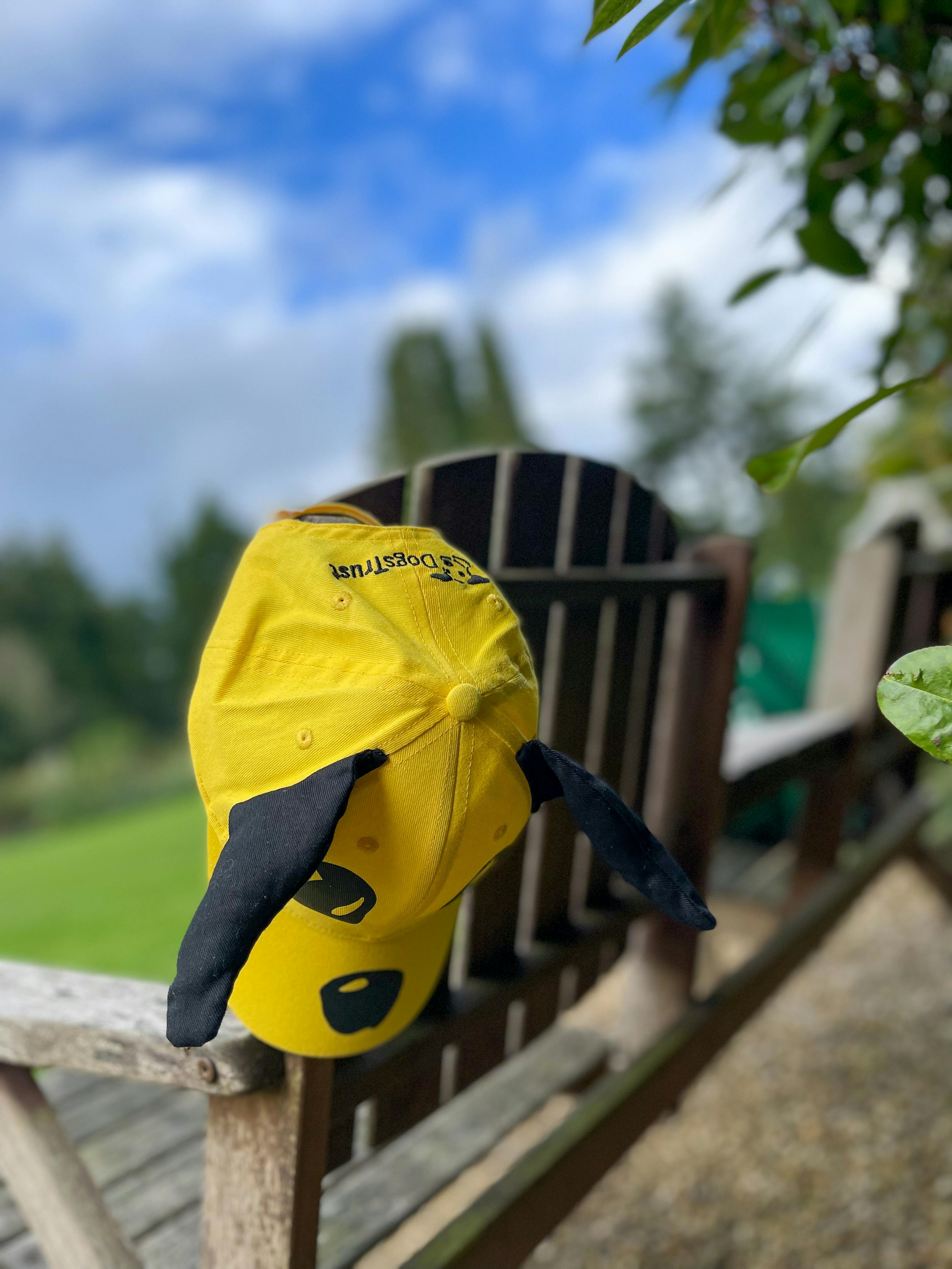 Dog's Trust Bespoke Cap