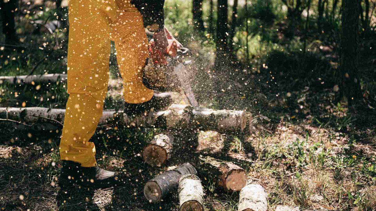 Henkilö sahaa tukkia akkukäyttöisellä moottorisahalla