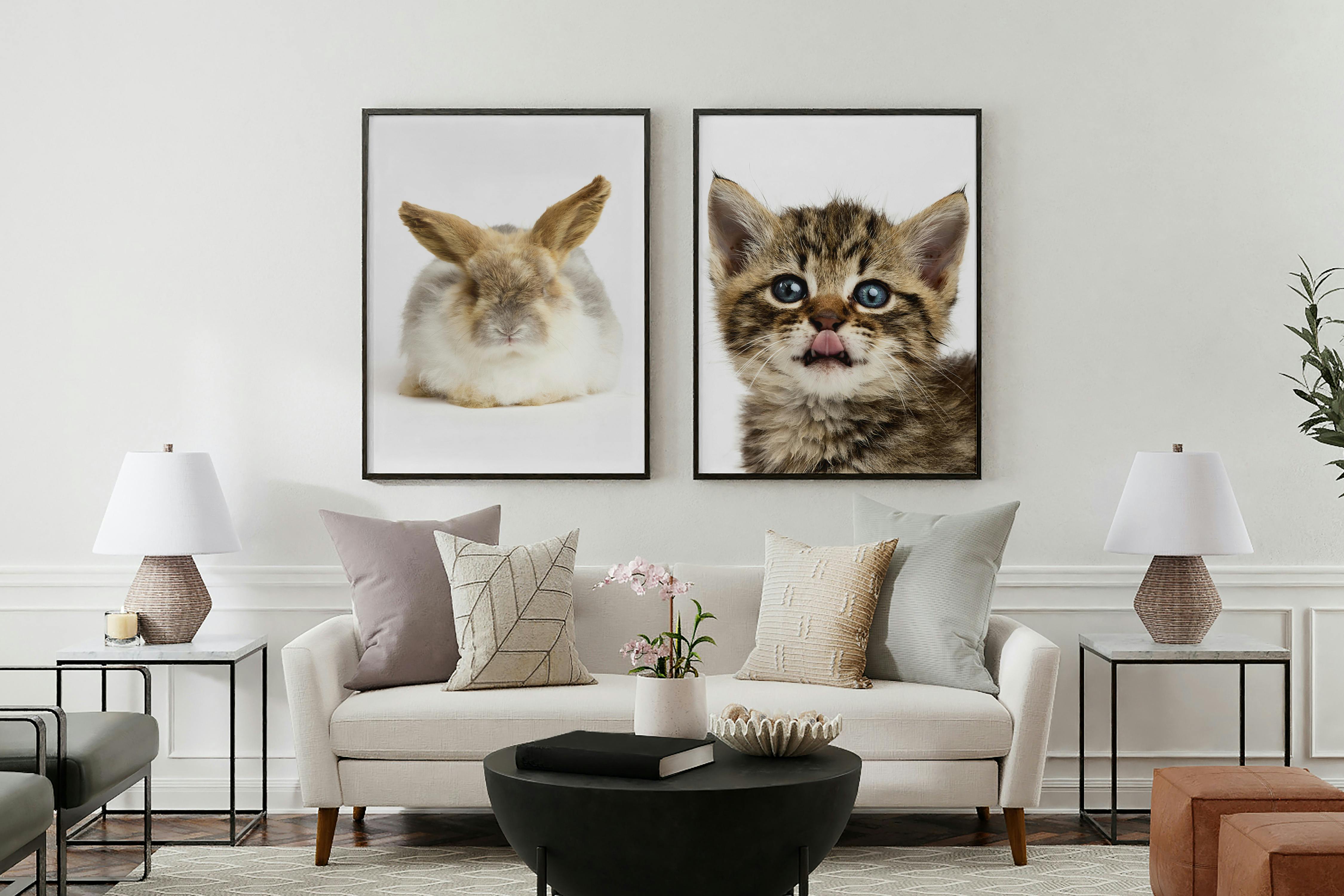 100% of profits go to HUHA