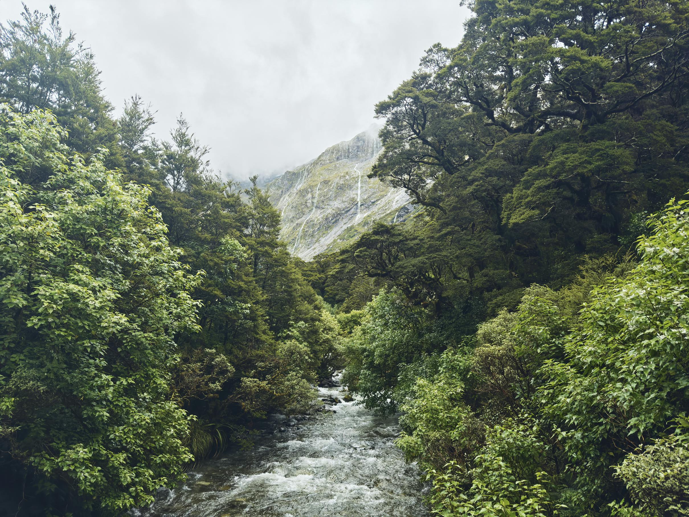 Clinton River