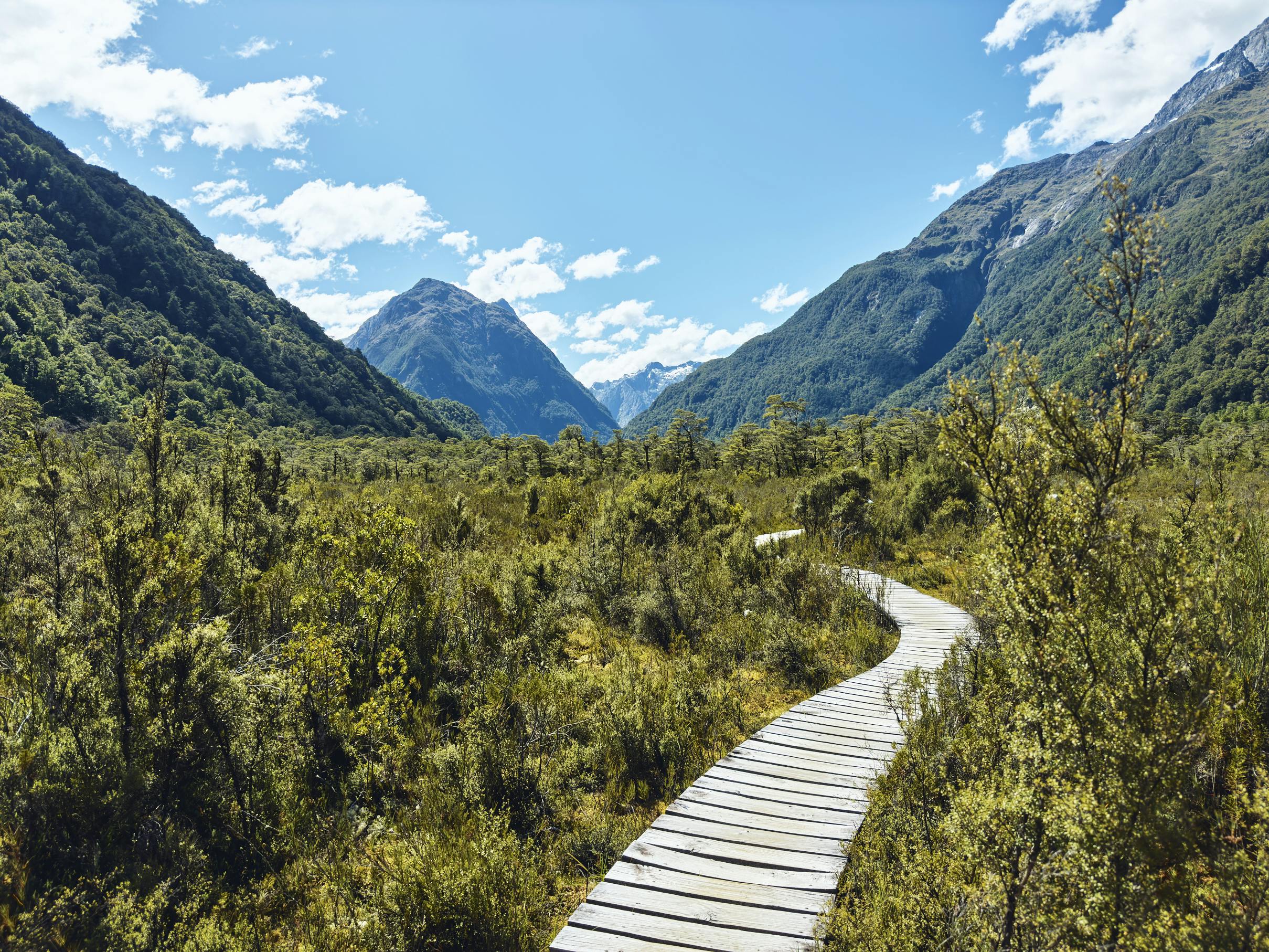 Clinton Valley Wetland Boardwalk