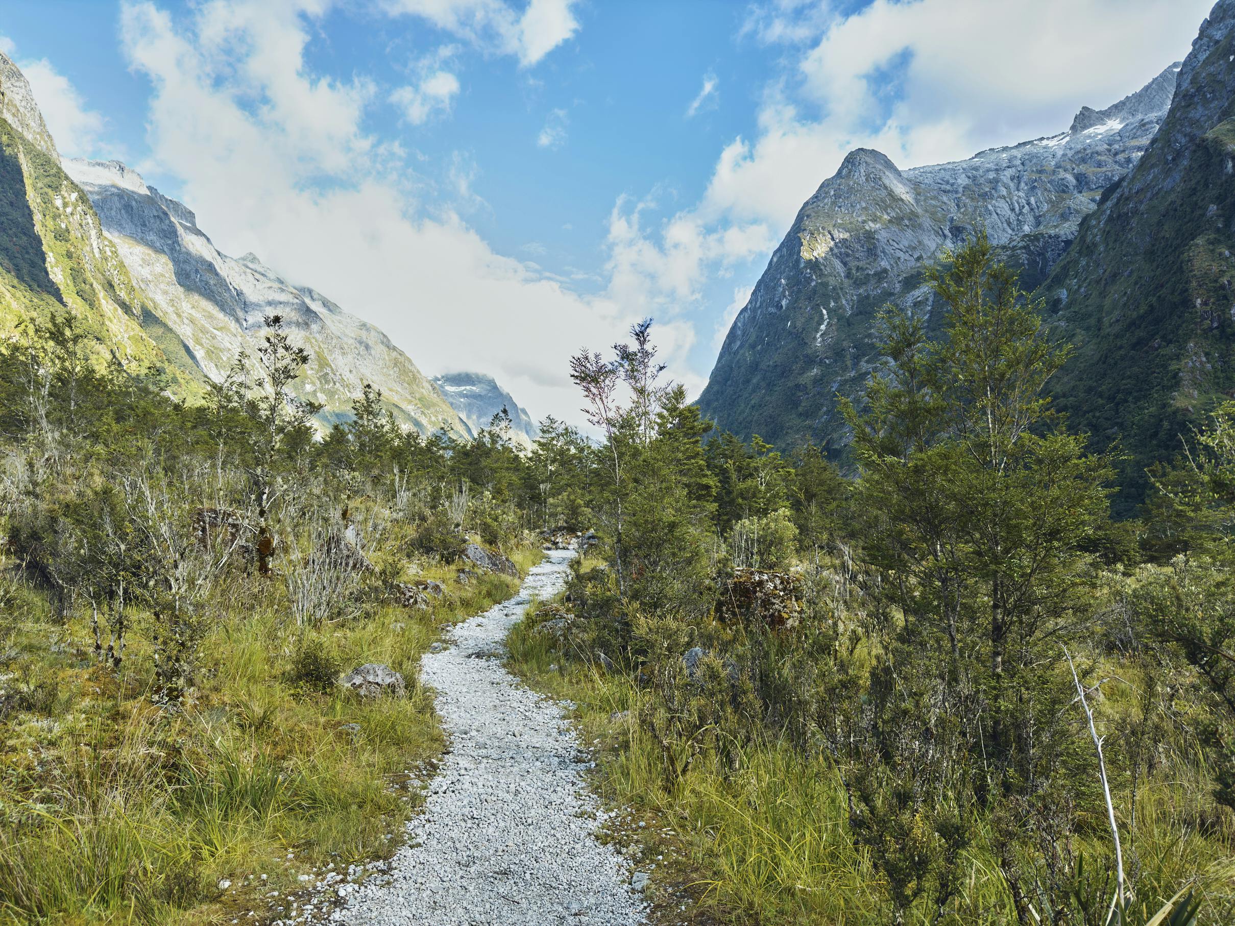 Easy path to Clinton Hut