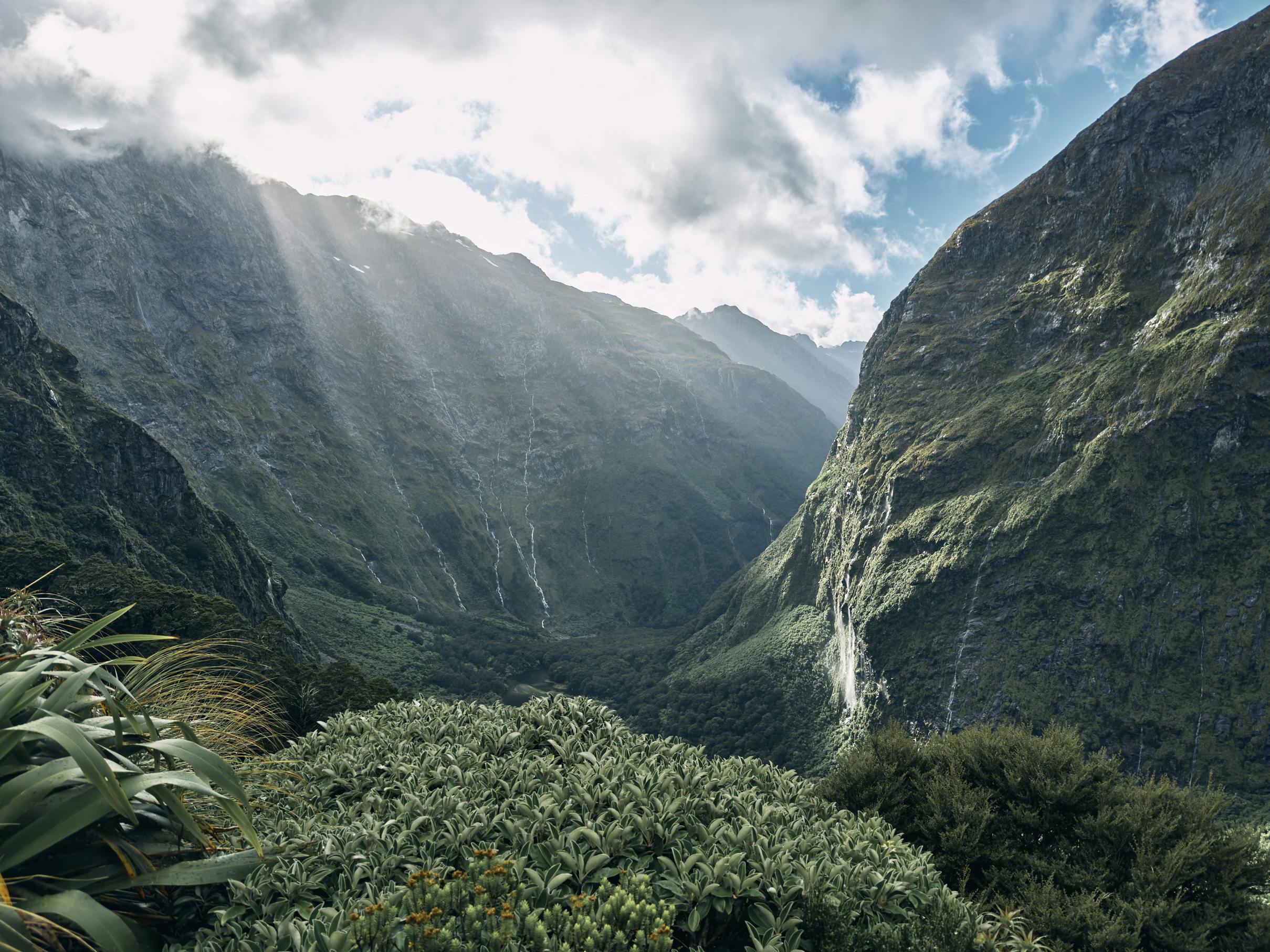 The beauty of the Milford Track