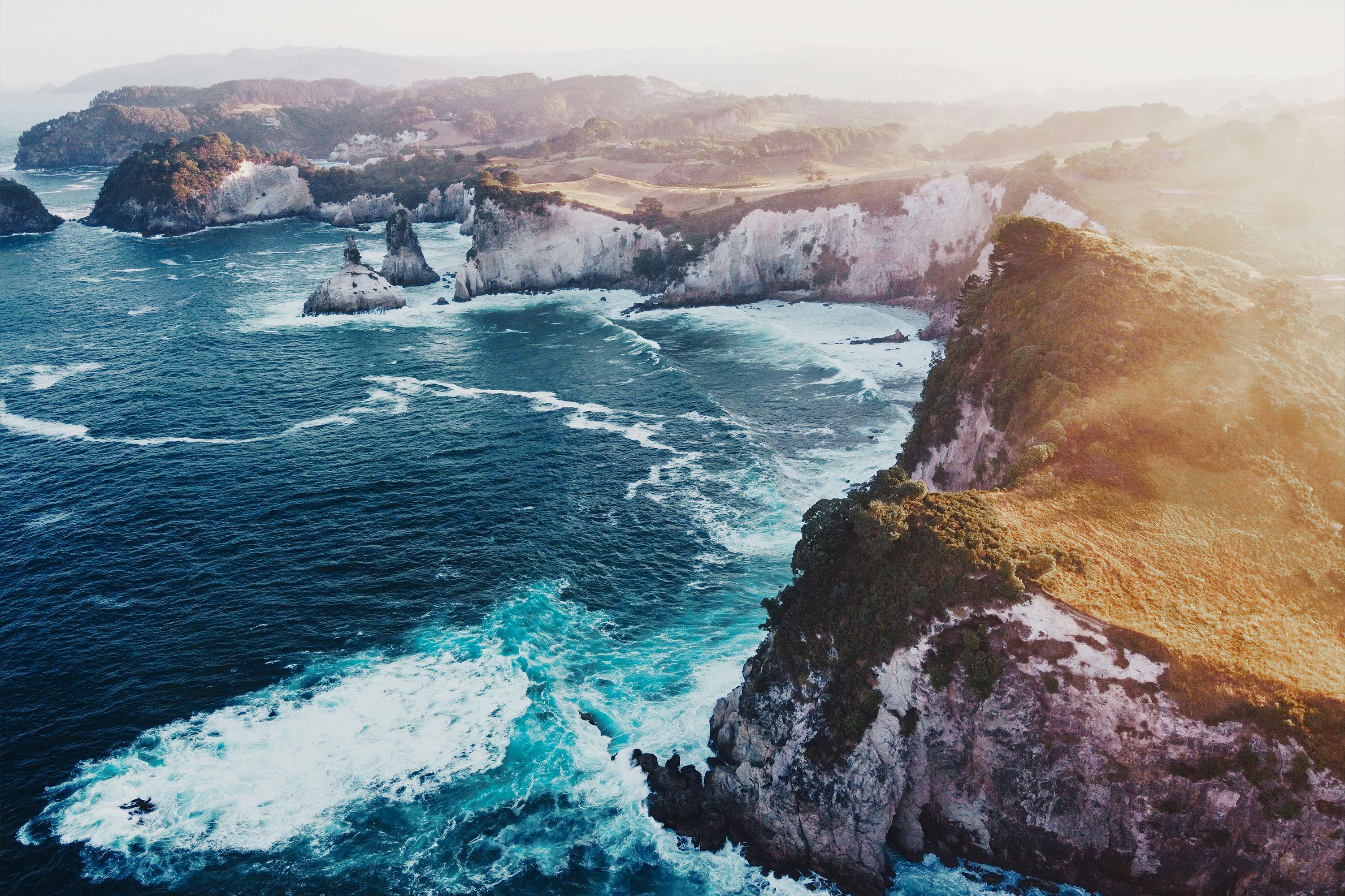 Hahei coast on the Coromandel Peninsula, in New Zealand.